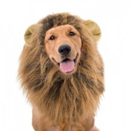 Lion&#39;s Mane Wig For Dogs