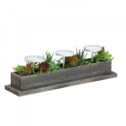 Reclaimed Wood Succulent Candle Display