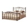 Twin Metal Platform Bed with Headboard & Footboard in Brushed Bronze