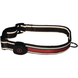 Royal Animals Led Dog Collar (small)