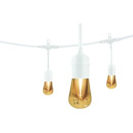 Enbrighten Cafe Vintage Vintage Led Cafe Lights (24ft; 12 Acrylic Bulbs)